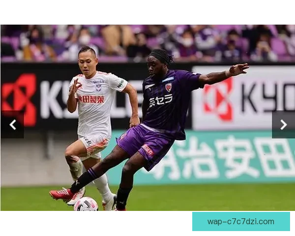 官方确认法加尼执法蓉城战町田